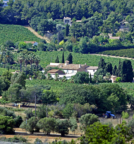 Caisse de vin de provence cru classé Tibouren Clos Cibonne