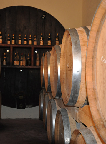 Intérieur espace de vente de vin clos cibonne
