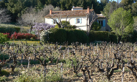 Location mas des vignes dans le Var - Le Pradet Clos Cibonne